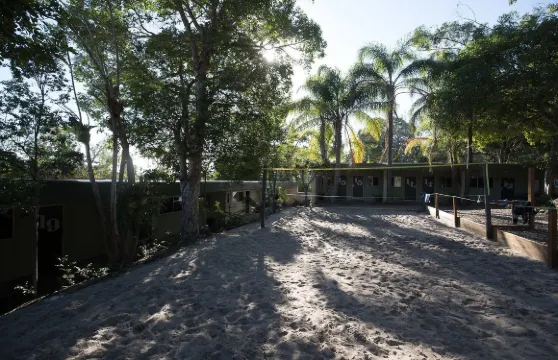 努薩遊牧者酒店