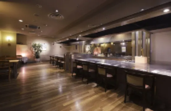 Hotel Seiryu Japanese Spa Inn with Spectacular View in Osaka
