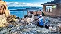 Hotel Wendy Mar Hoteles cerca de Isla del Sol