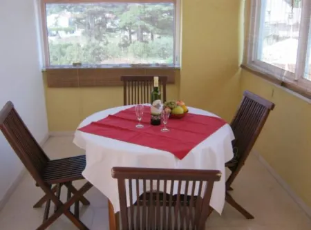 Apartments Villa Novak Отели в г. Sudurad