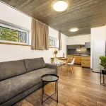 Apartmány Panelka Costa Plana Lipno Hotels in Cesky Krumlov District