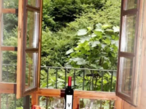 Apartamentos Aguasaliu Hotels in Ponga