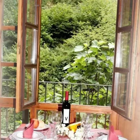 Apartamentos Aguasaliu