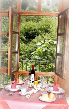 Apartamentos Aguasaliu Отели в г. Посада-де-Вальдеон