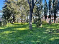 Poggio Delle Molare Adults-Only Retreat Hotels in Bracciano