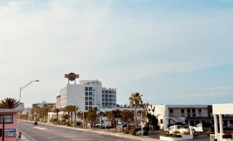 Daytona Double Delight