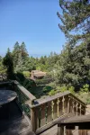 Peaceful Berkeley Hills Studio - Bay View + Private Deck + Prime Location