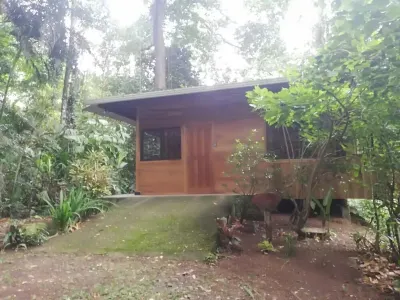 Caribbean Rainforest Home at Samasati Nature Preserve!