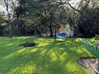Deer Creek Estate near Juan Santamaria International Airport. Hotels near TiColitas La Bodega del Alimento