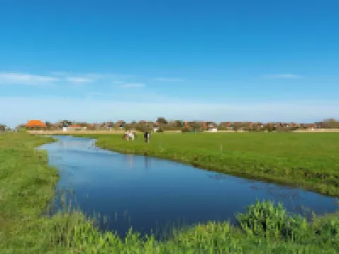Villa in Callantsoog with Whirlpool and Beach Hotels in Callantsoog