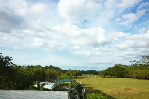 Peaceful apartment with a gym and view right outside Coco Beach