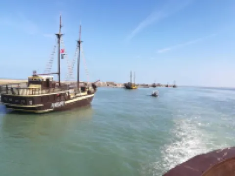 'DAR Leyla' CHARMING VILLA WITH POOL.... AT THE HEART OF THE DJERBIAN CAMPAIGN