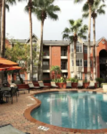 Big 1 bedroom in Houston