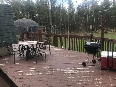 Honey dome Hideout Unique cabin sitting on 5 acres in northern Michigan