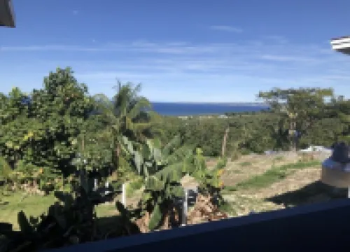 The Babanees - Bummer Hill Boho Chic Surf Shack