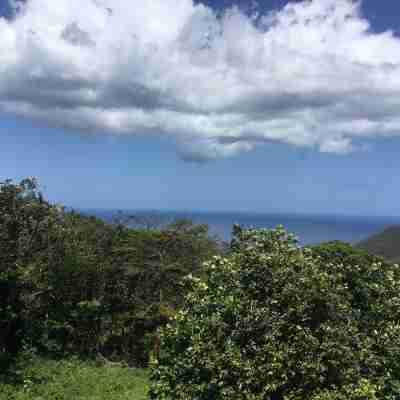 New and luxurious apartment sea view Others
