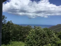 New and luxurious apartment sea view