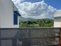 Campo en la Cuidad