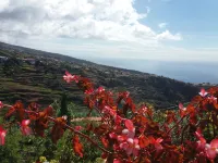 "Zen" atmosphere with breathtaking views.