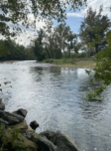 Beautiful Serene Studio Cabin!