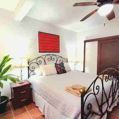 Sunsets + Ocean View Condo with WiFi, A/C, RoofTop, steps to Malecon and Beach Rooms