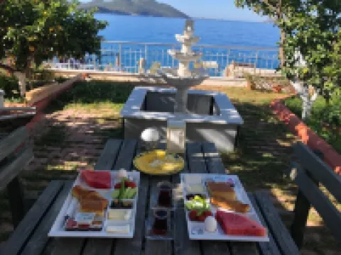 ヤリ パンシヨン