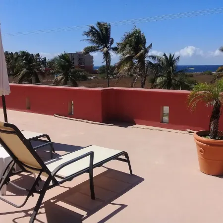 Casa Misifus