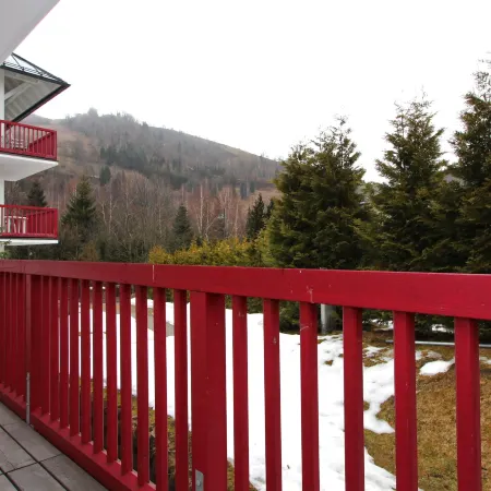 Kitz Residenz by Alpin Rentals - Incl Summercard