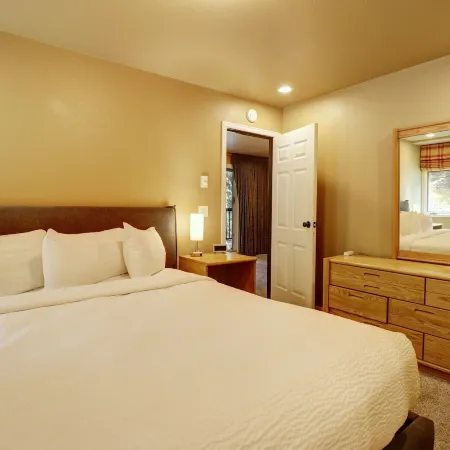 Amazing Ski-in Ski-Out Condo, Pet Friendly - Very Spacious - cm236