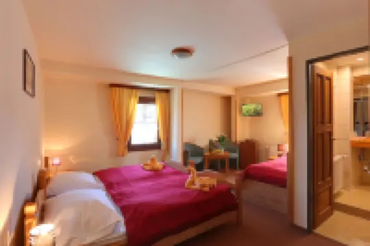 Hotel Zelený Dům Hôtels à : 