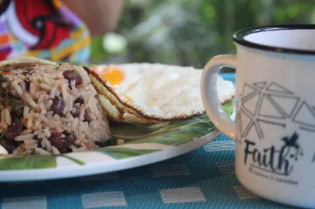 Faith Glamping Dome Costa Rica Отели в г. Мансанильо