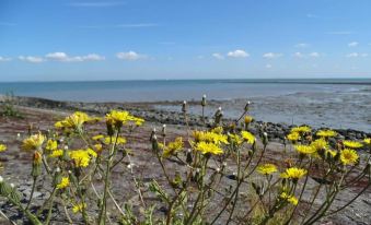 Cottage Near Het Bokkegat Nature Reserve