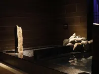 東京後樂園多美迎酒店（多美迎・御宿野乃 酒店集團） - 溫泉