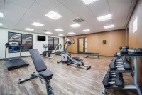 Comfort Inn & Suites North Platte I-80 - Gym