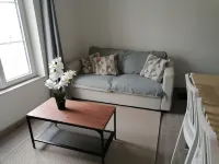 Nice apartment in the center of Touraine, in the heart of the Loire castles Hotels in L'Ile-Bouchard