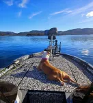 Clearlake Serenity House