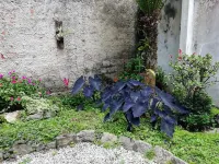 Space&comfort in Sâo Lourenço park. Close to Ópera de Arame Hotels in Sao Lourenco