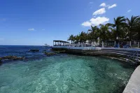 Cozumel Hotel & Resort - Beach