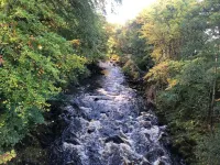 Kirkton Cottage – A Peaceful Scottish Retreat Near Huntly & Keith Hotels in Huntly