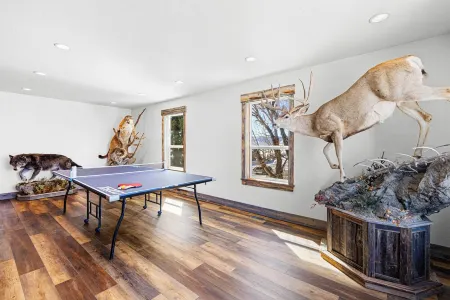 Large house with lots of space. Just minutes away from national forest.