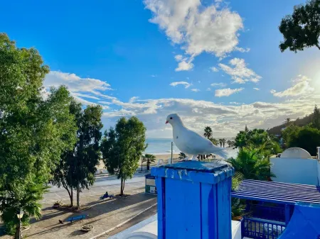 BLUE SKY SIDI BOUSAID Отели рядом с достопримечательностью «Дворец Дар-Нежма-Эззахра»