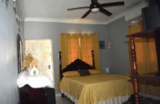 Snuggled Oasis Studio.