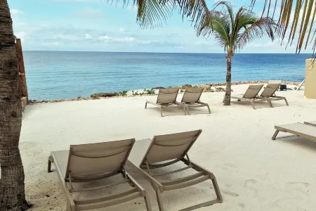 Wynwood Boutique Hotel