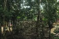 House peace Tulum Hoteles cerca de Observatorio Astronómico de Cobá