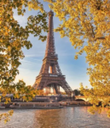 Palladium Apartment Disneyland NPI