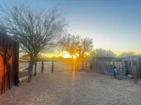 Gorgeously updated casita on beautiful, gated, desert horse property.