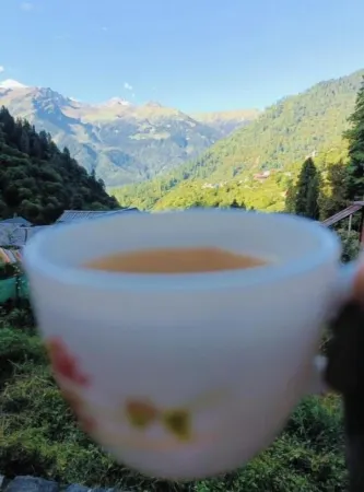 Tosh Heights Cottages - THC #1 Отели в г. Tosh