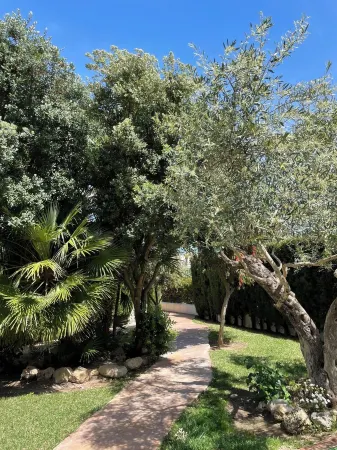 Whale Beach III Отели рядом с достопримечательностью «Playa de la Costilla»