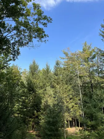 Cozy tiny home, immersed in the forest, overlooking the pond! Отели в г. Каледон