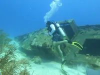 Apartamentos Turísticos El Conquistador